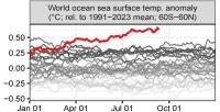 ocean surface temp anomaly plot